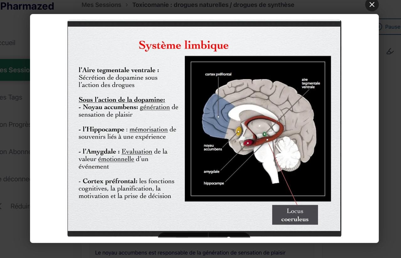 Screenshot: Personal Notes